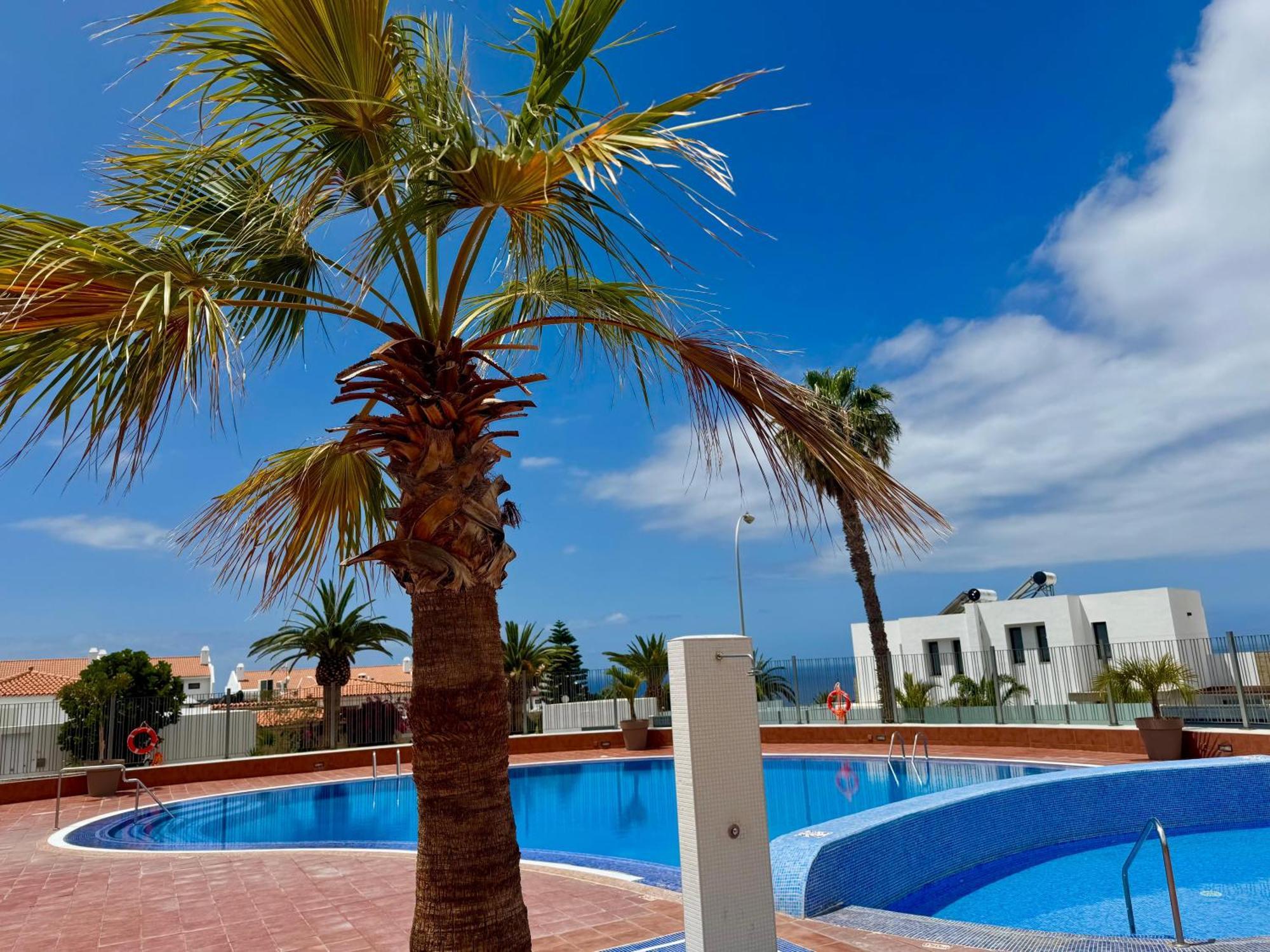 San Eugenio Charming Renovated Apartment Tenerife Адехе Екстер'єр фото